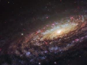 NGC 7331 et l'ancienne supernova SN 2014C observées par Hubble, image d'archive publiée en 2018