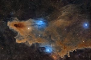 The Quiet Predator d'Ali Alobaidly : le Nébuleuse du Requin (LDN 1235), gagnant overall du Astronomy Photographer of the Year 2026